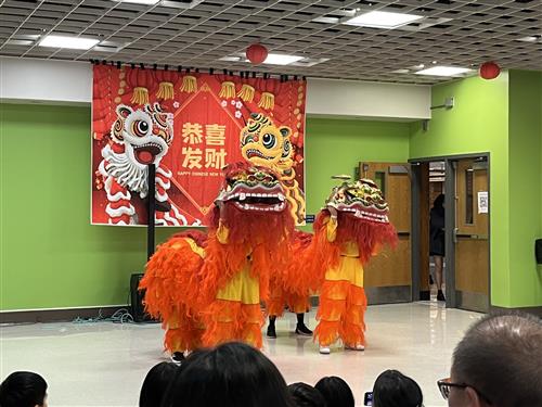 HS performance